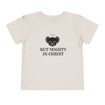 toddler’s Tiny but Mighty // boy’s