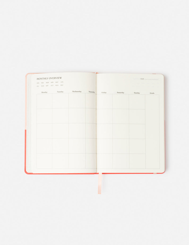 Faith Can Move Mountains Planner