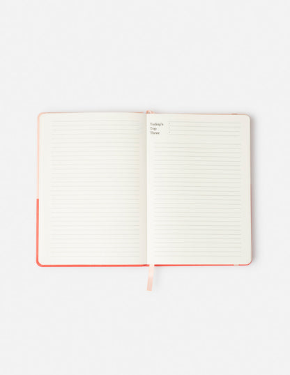 Faith Can Move Mountains Planner